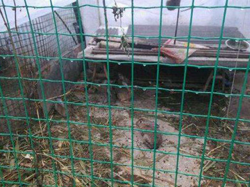 養殖場圍欄網 養殖場圍欄網