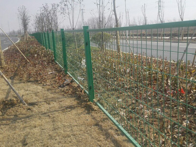 安徽蚌埠黃山大道綠化隔離項目 安徽蚌埠黃山大道綠化隔離項目