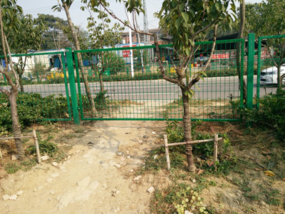 安徽蚌埠黃山大道綠化隔離項目 安徽蚌埠黃山大道綠化隔離項目