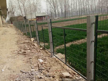 鐵路護(hù)欄網(wǎng) 鐵路護(hù)欄網(wǎng)