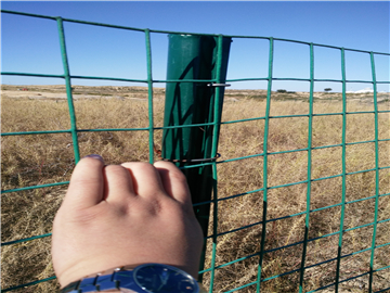 涂塑荷蘭網圍欄08 涂塑荷蘭網圍欄08